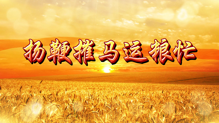 扬鞭催马运粮忙-歌曲舞台背景视频