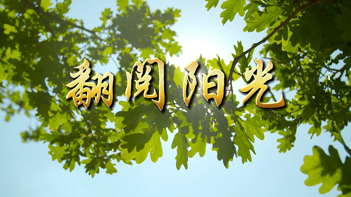 翻阅阳光-阿紫诗歌朗诵配乐背景视频