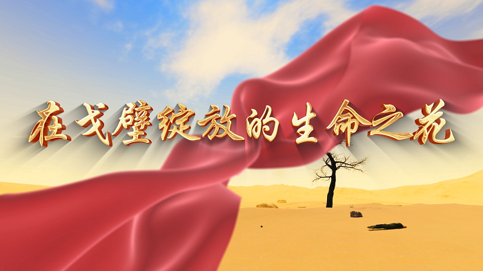 致敬两弹一星功勋林俊德院士，追科学星 筑强国梦，在戈壁绽放的马兰花，科学家精神主题演讲配乐背景视频