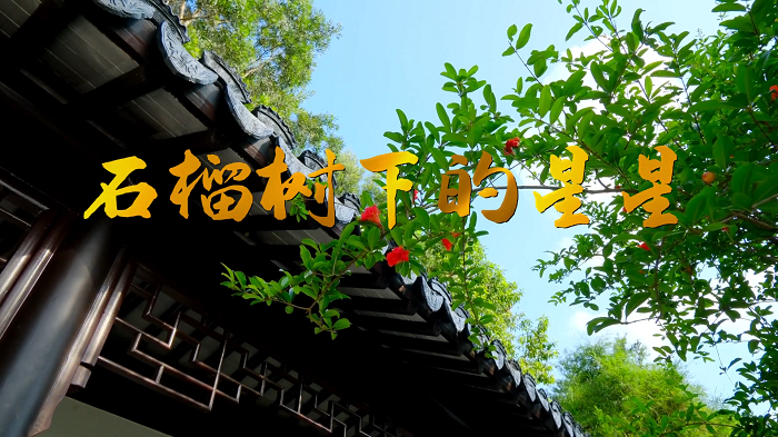 石榴树下的星星—小众高分获奖作品，适合女生朗诵